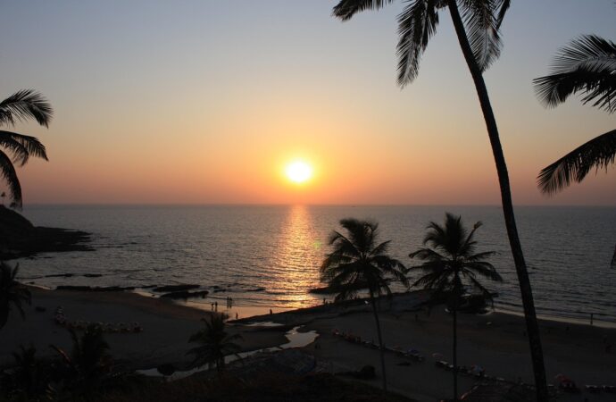 Goa Introduces Portuguese Language Courses in State Universities