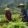Sikkim declares 2025 as Year of Organic Exports