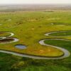 Chhattisgarh’s Afforestation Drives Boost Green Cover, Strengthen Ecology