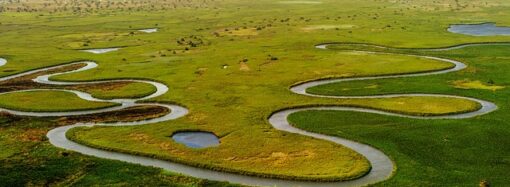 Chhattisgarh: A Study in Balancing Growth and Sustainability How India’s mineral heartland is navigating development while protecting its ecological and social fabric.