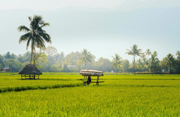 Kerala Becomes First State to Introduce Mandatory Climate Change Education in Schools
