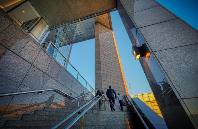 The Impact of AI on Rural Development: Government Policies Driving Progress