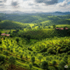 Maharashtra Sees Remarkable Growth in Green Cover Thanks to Statewide Afforestation Efforts