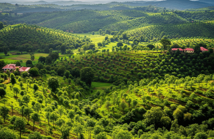 Maharashtra Sees Remarkable Growth in Green Cover Thanks to Statewide Afforestation Efforts