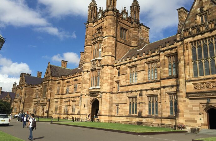 The Impact of Foreign Universities in Indian Education: Bridging Global Standards and Local Demands