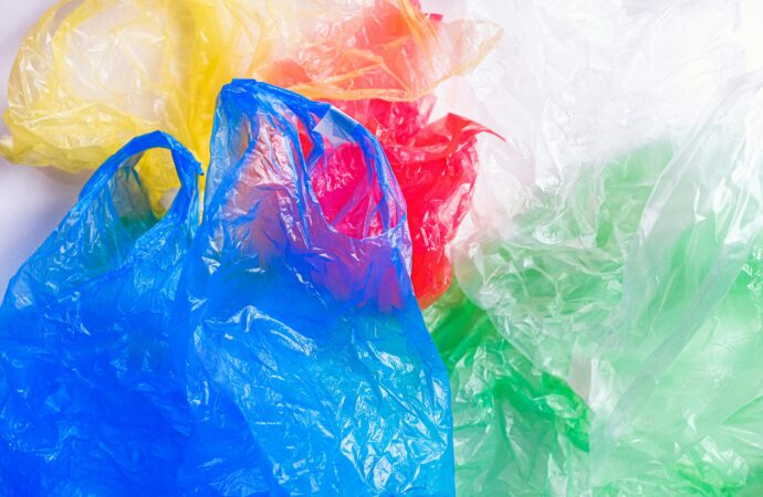 Goa Bans Single-Use Plastics: A Bold Step to Protect Marine Life
