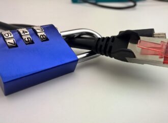 AI and Data Privacy: Navigating Challenges in the Indian Context