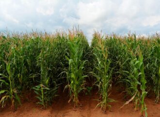 Are We Witnessing a Transformation in UP’s Economic Landscape?