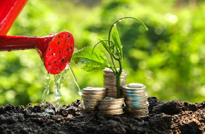 Future-Proofing Uttar Pradesh: Government Policies for Sustainable Growth