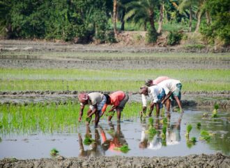 How Can UP Leverage Its Resources for Sustainable Growth?