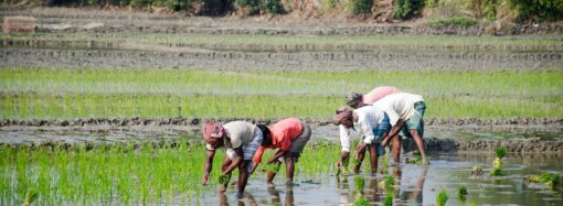 How Can UP Leverage Its Resources for Sustainable Growth?