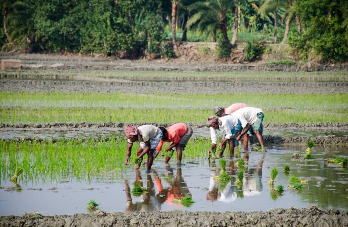 How Can UP Leverage Its Resources for Sustainable Growth?