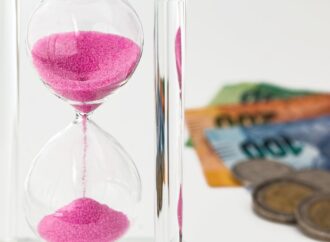 The Capitalist Grip on Democracy: An Examination of Economic Influences in India