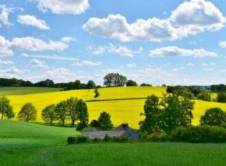 The Future of Urban Green Spaces in Uttar Pradesh: Balancing Development and Nature