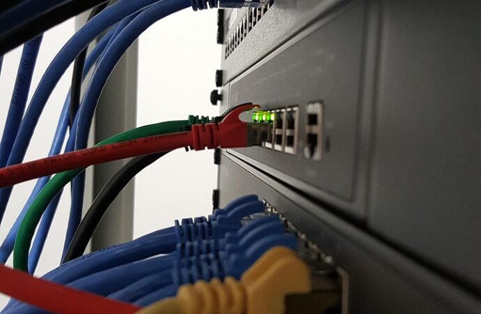 The Power of Networking: Building Connections in Politics for Youth