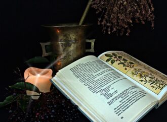 The Alchemy of Democracy: Transforming Challenges into Opportunities in India