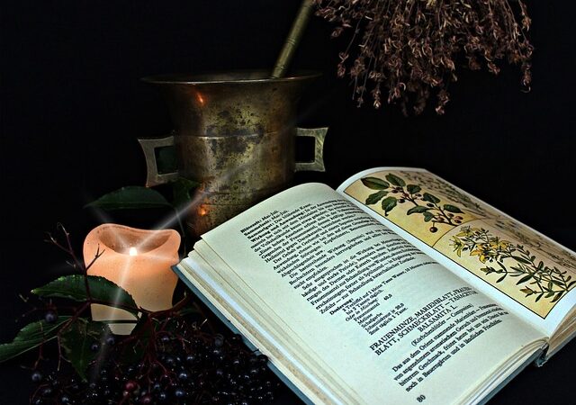 The Alchemy of Democracy: Transforming Challenges into Opportunities in India