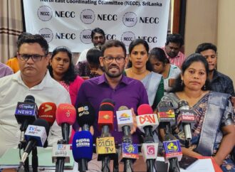 The Importance of Political Representation for Future Generations