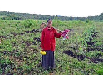 Uttar Pradesh’s Green Initiatives: Are They More Than Just Lip Service?