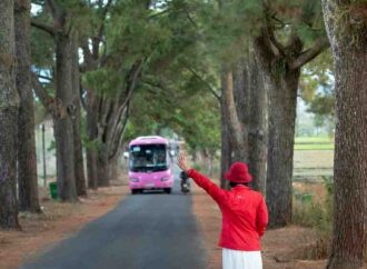 Uttar Pradesh’s Public Transport: Are We Moving Forward or Backward?