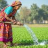 2026: International Year of the Woman Farmer – The Philosophy of Agrarian Justice