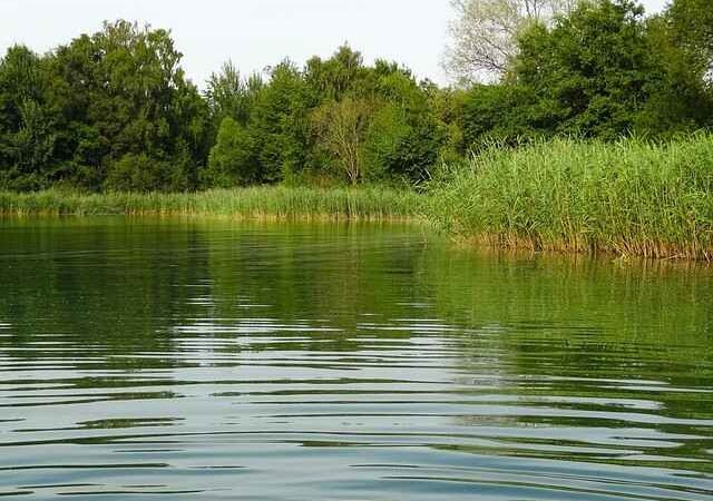 India’s Water Quality: What CPCB Monitors—and What It Doesn’t